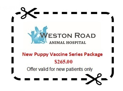 Puppy Vaccine