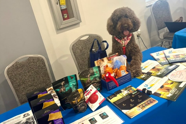 Dog at Informational Table