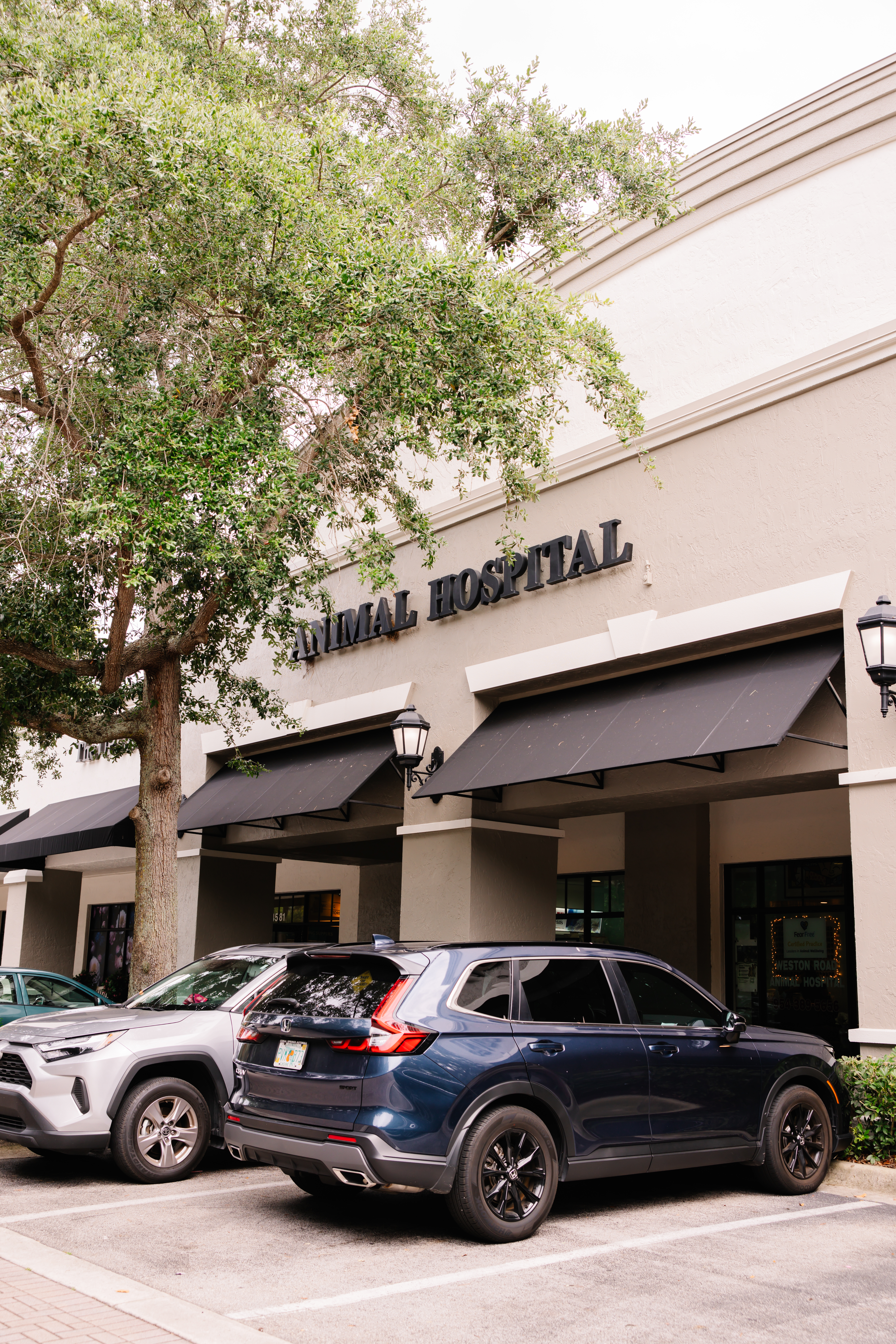 About Us - Our Practice