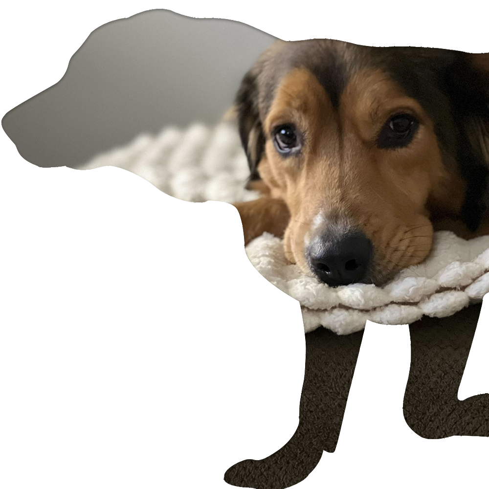 Dog Cutout