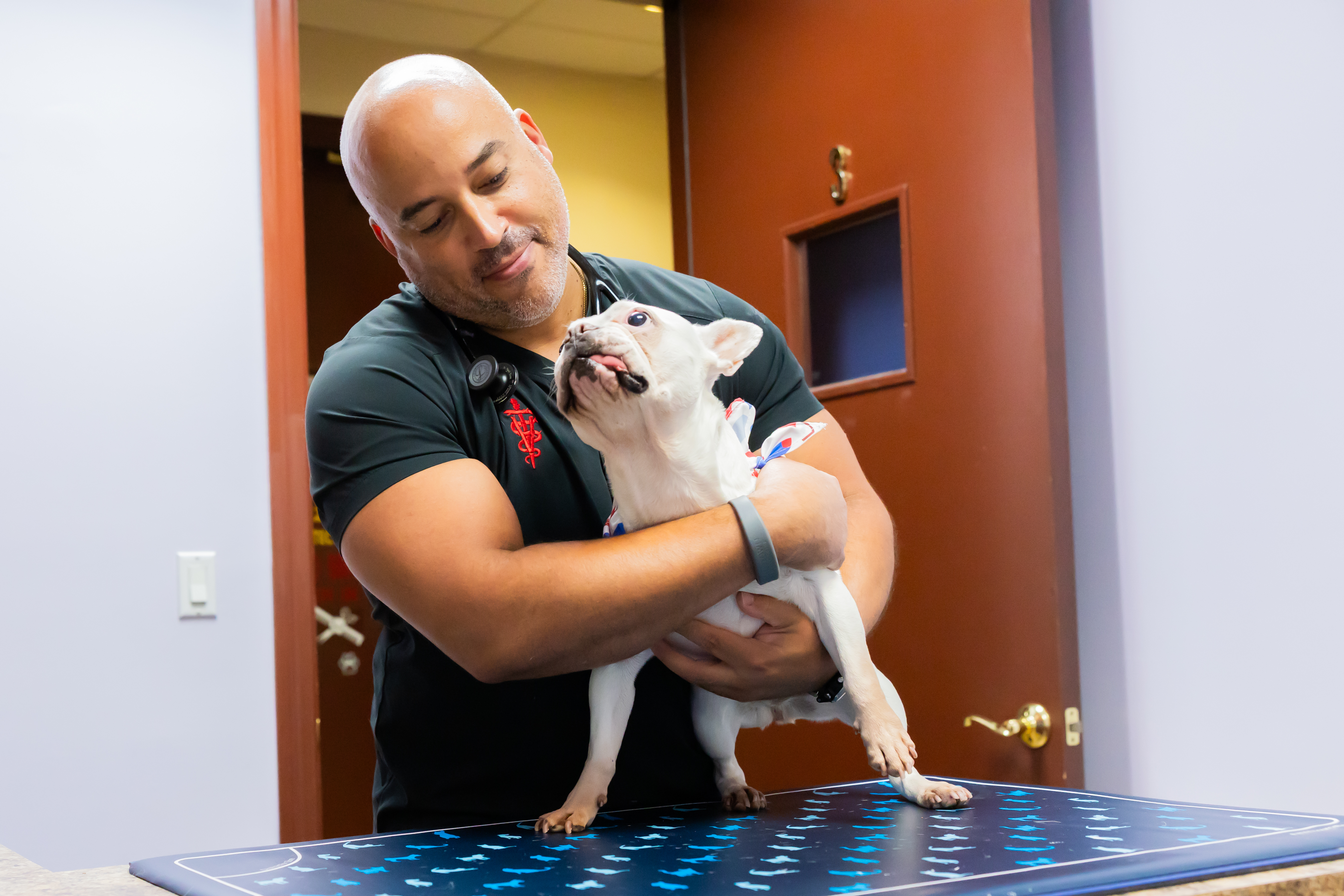 Tips From The Vet