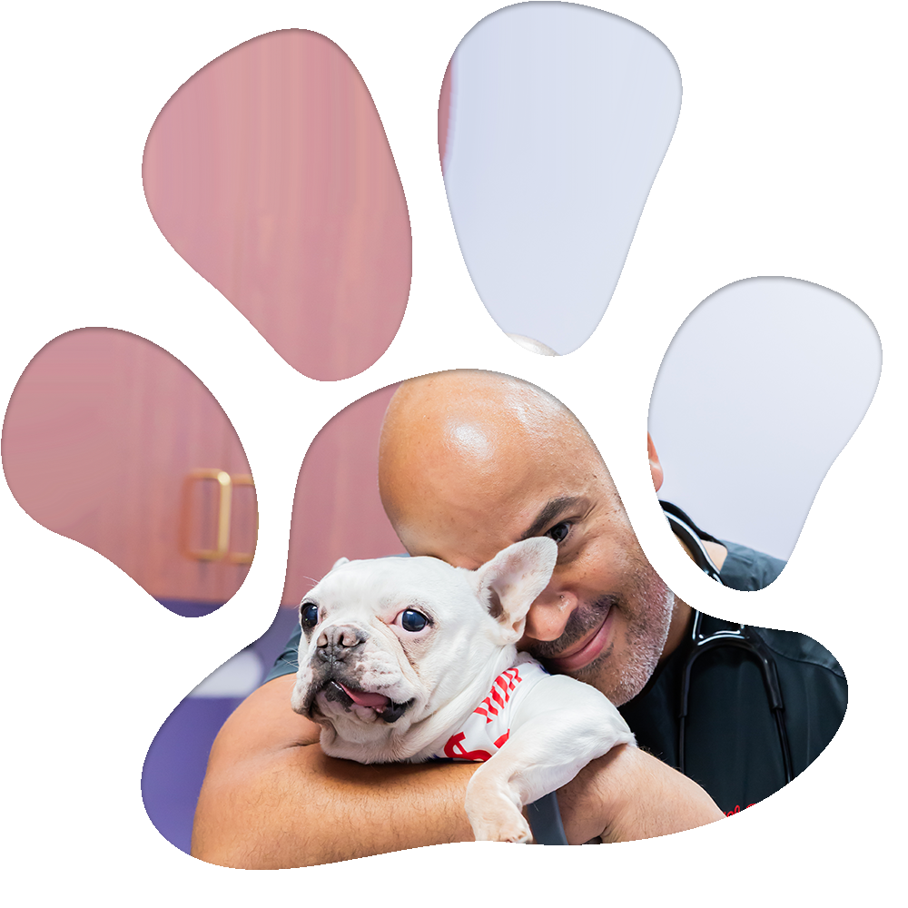 Doctor Hugging Dog