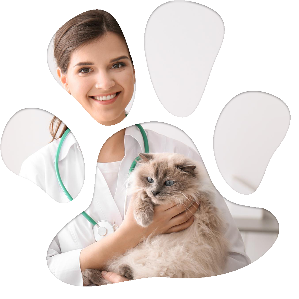 Paw Cutout - Cat with Doctor