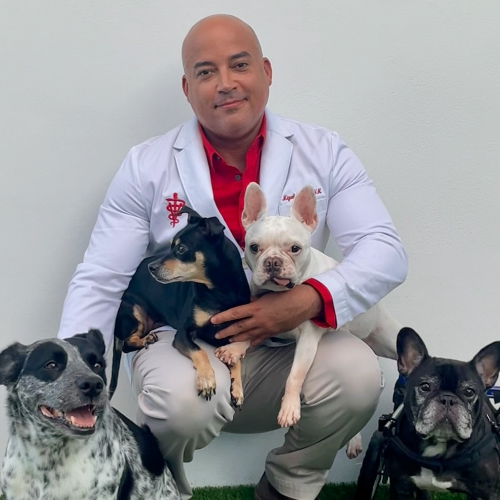 Dr. Rivas & Group