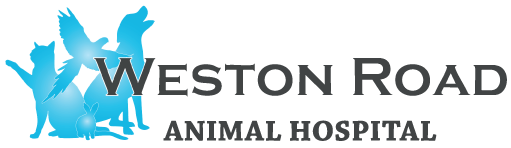 Weston Road Animal Hospital Logo