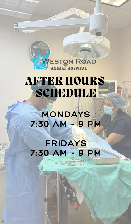 After Hours Banner