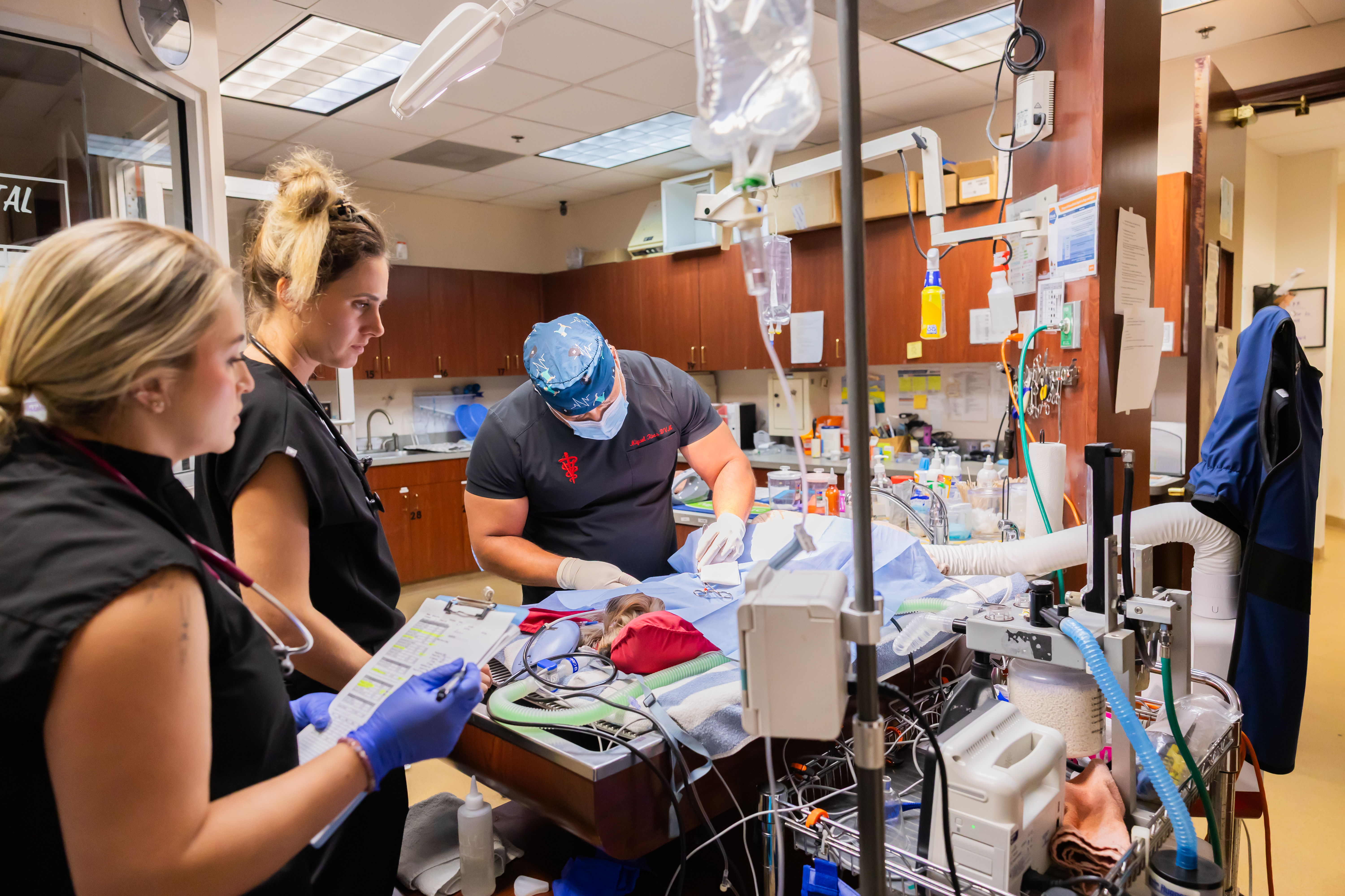 Surgical Services