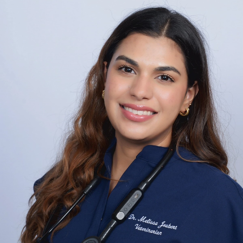 Dr. Melissa Joubert, DVM
