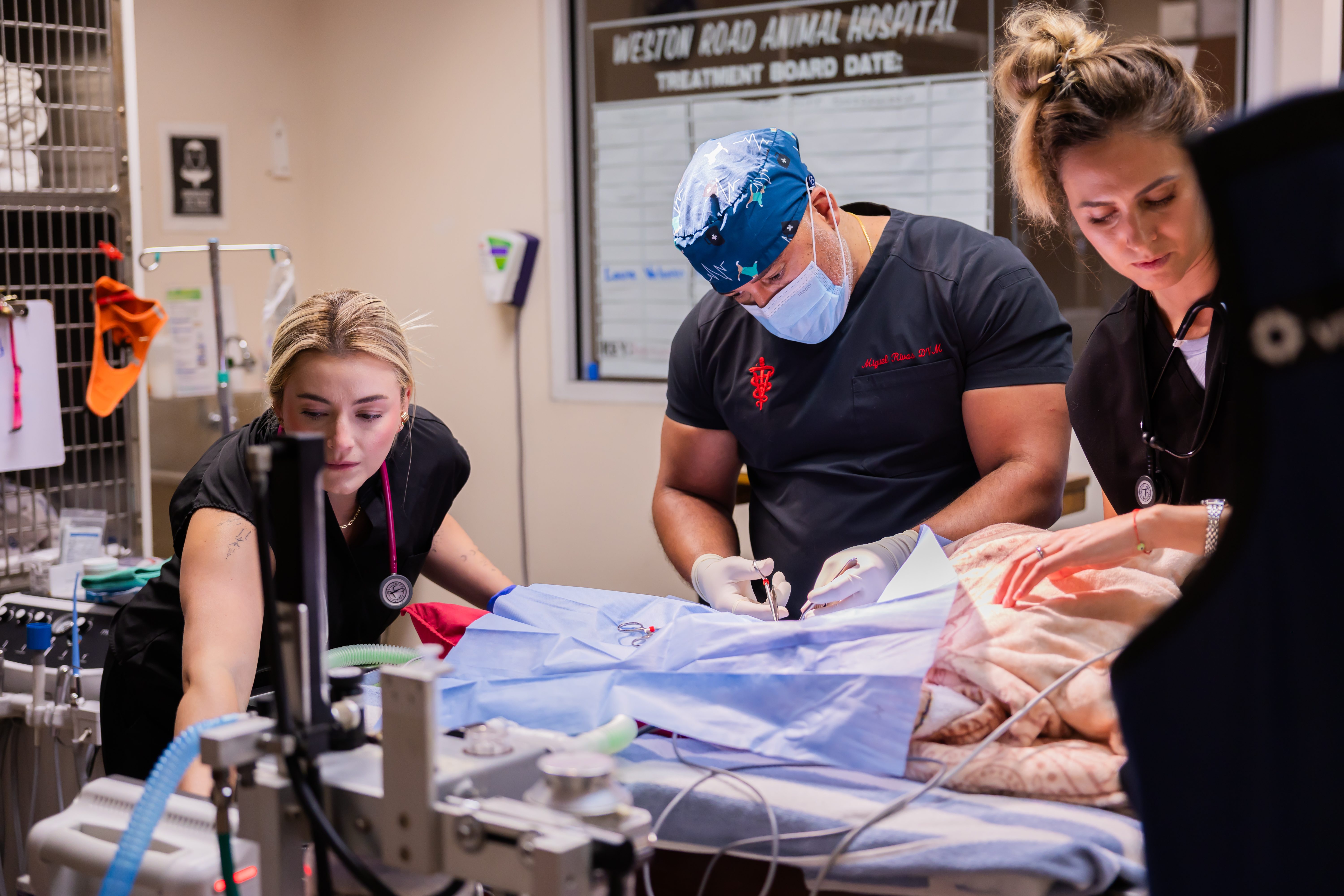 Ortho Surgery